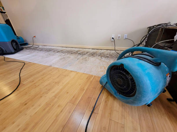 Professional Water Damage Repair technician working in Fairmount, TN